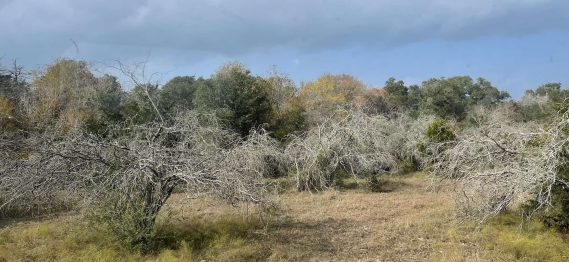 Land Clearing Solutions -16