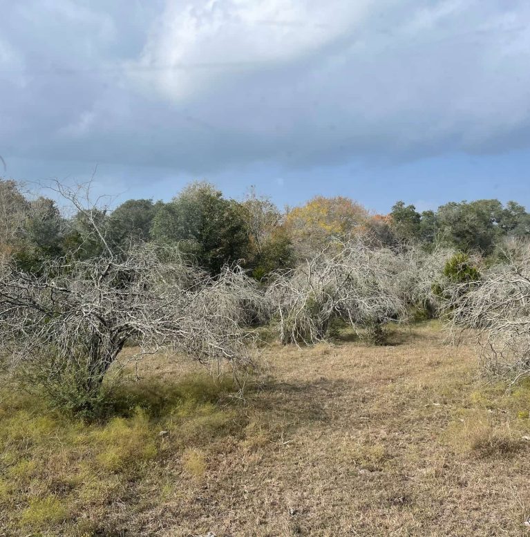 Land Clearing Solutions -16