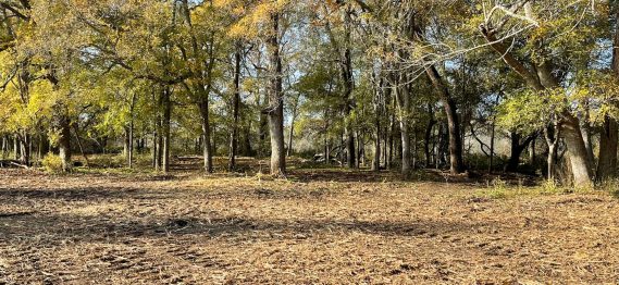 Land Clearing Solutions -18
