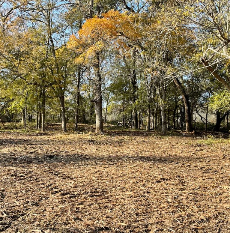Land Clearing Solutions -18