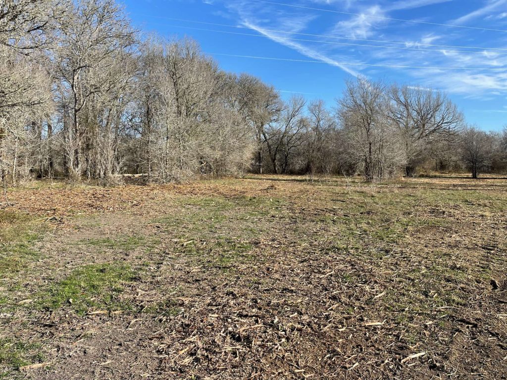 Forestry Mulching Services in Corpus Christi, TX