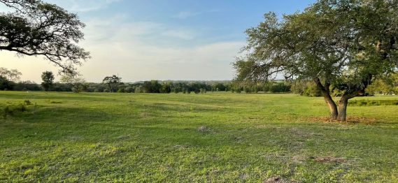 Land Clearing Solutions -76