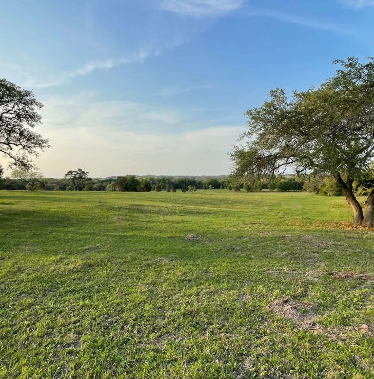 Land Clearing Solutions -76