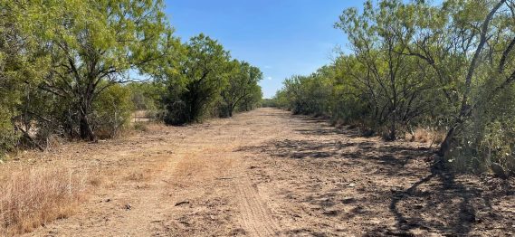Land Clearing Solutions -90