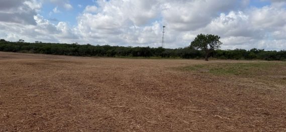 Land Clearing Solutions -95
