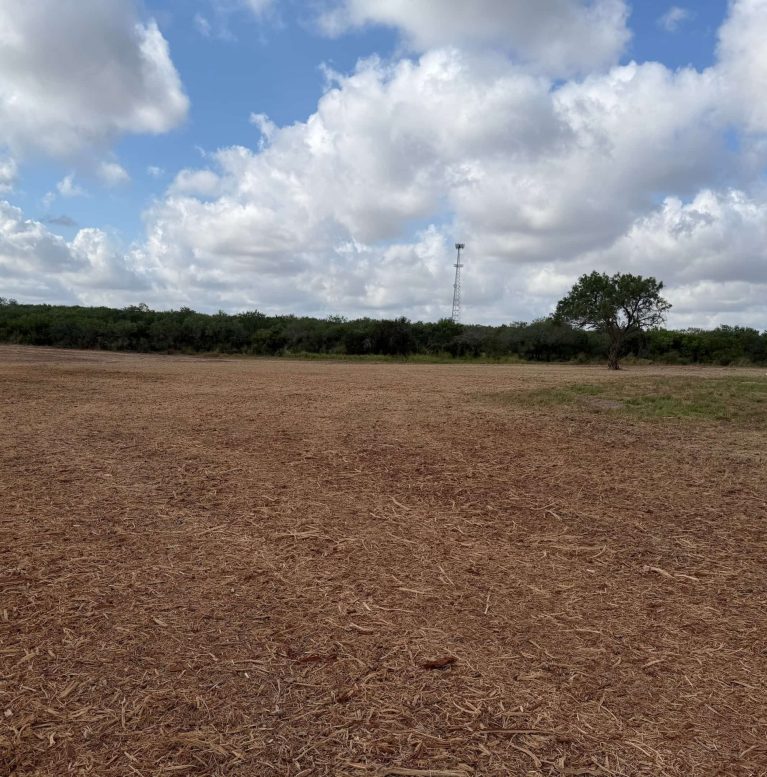 Land Clearing Solutions -95